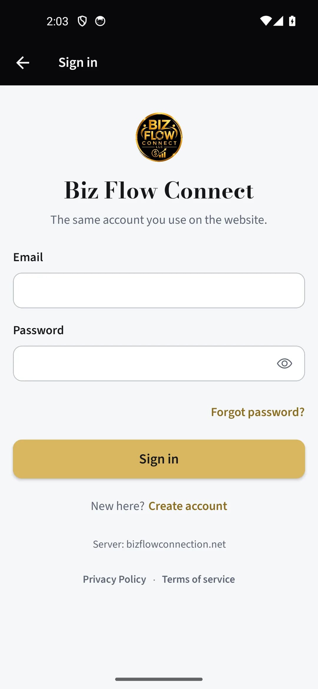 Get started with BizFlow — Sign in on your phone